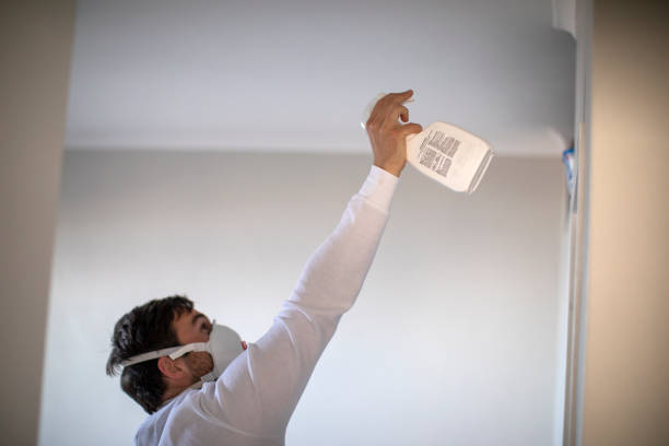 Best Crawl Space Mold Removal  in Thunderbolt, GA