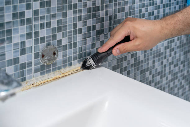 Best Mold Inspection  in Thunderbolt, GA