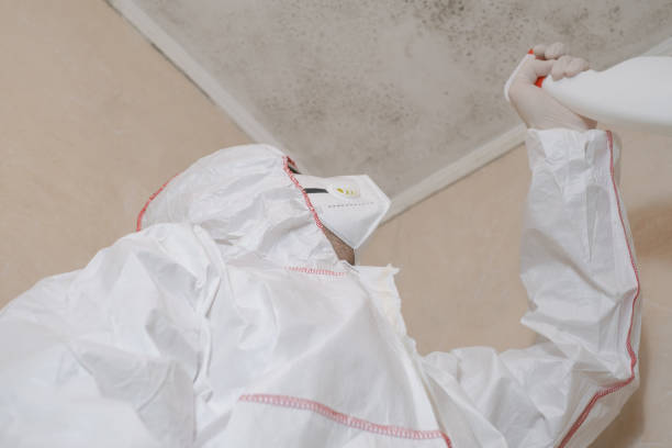 Best Mold Testing  in Thunderbolt, GA