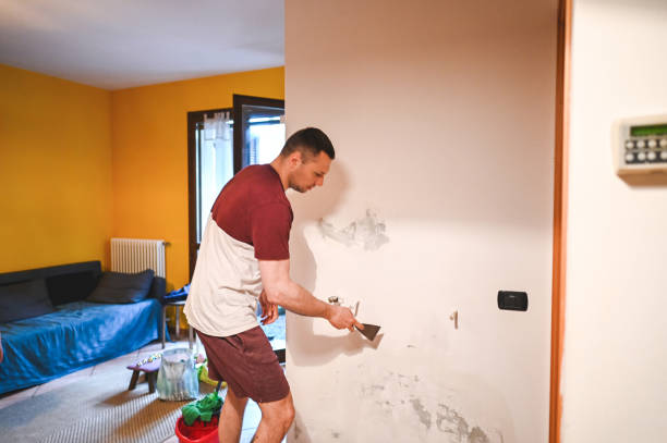 Best Mold Damage Repair  in Thunderbolt, GA